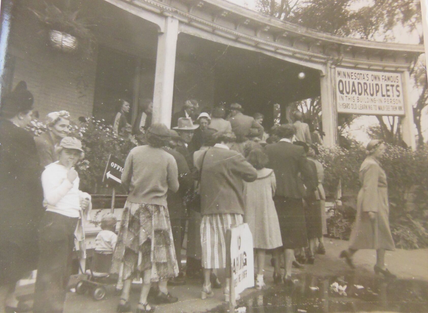 Seifert quads at the fair